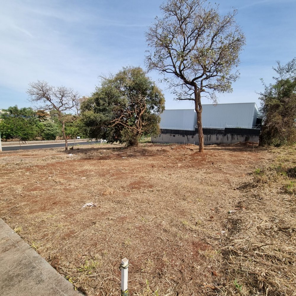 Lote - Venda - Alto da Boa Vista - Ribeirão Preto - SP